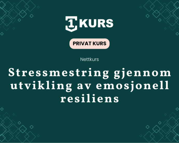 Privat kurs forsta mestre stress featured