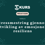 Privat kurs forsta mestre stress hovedbilde